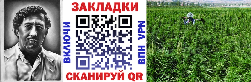 Сколько стоит Солнечногорск Галлюциногенные грибы  Бутират  Меф  Канабис  АМФ 