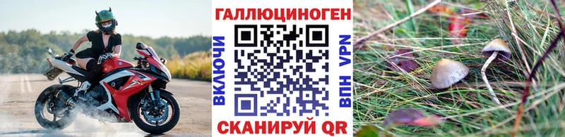 Псилоцибиновые грибы мицелий  Солнечногорск 