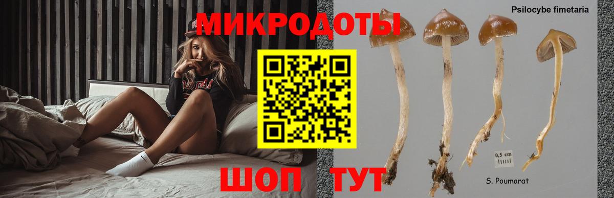 Псилоцибиновые грибы ЛСД Солнечногорск
