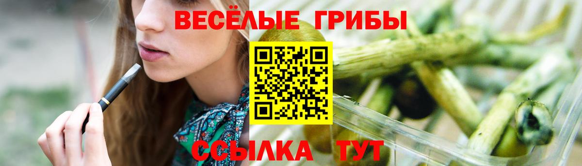 Галлюциногенные грибы Magic Shrooms  Псилоцибиновые грибы MAGIC MUSHROOMS  Солнечногорск  Вход с VPN 